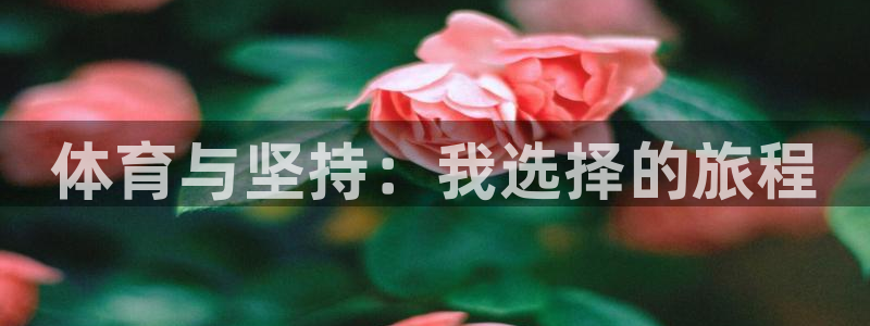中欧体育kok