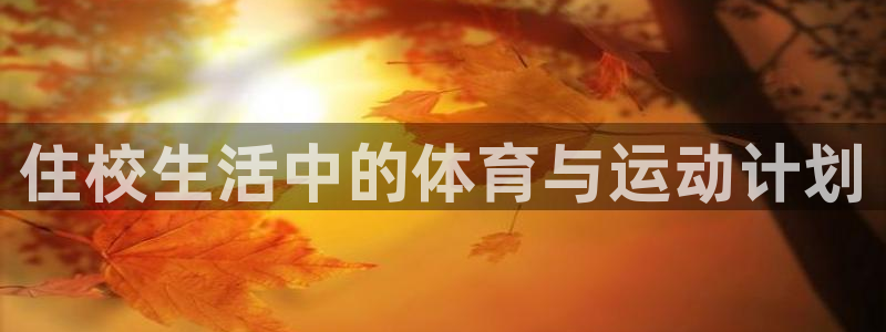 中欧体育网页版：住校生活中的体育与运动计划