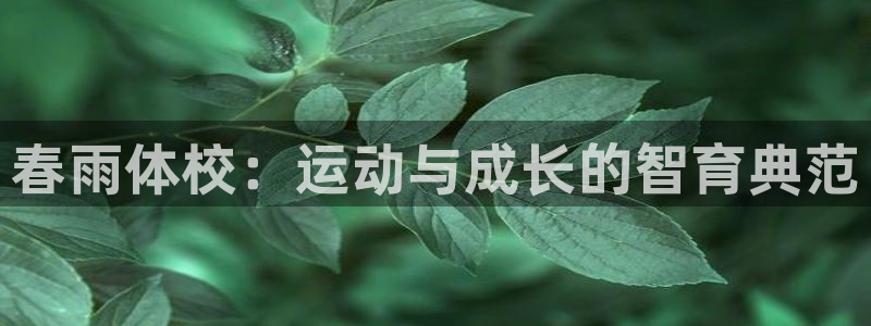 中欧体育网页版