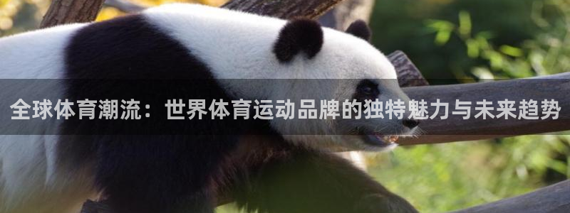 zoty中欧体育网址多少：全球体育潮流：世界体育运动品牌的独特魅力与未来趋势