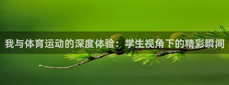 中欧体育官网入口：我与体育运动的深度体验：学生视角下的精彩瞬间